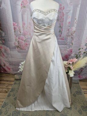 A golden, silver and moonlight-colored wedding dress without a zipper and with r